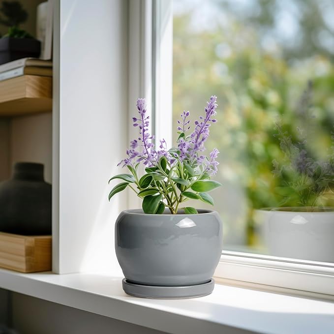 SQOWL 6 Inch Plant Pots - Ceramic Planter with Drainage Hole and Saucer, Round Ceramic Flower Pot Indoor Outdoor, Modern Succulent Planter, Bathroom Decor, Gifts for Plant Lovers, Grey SQOWL