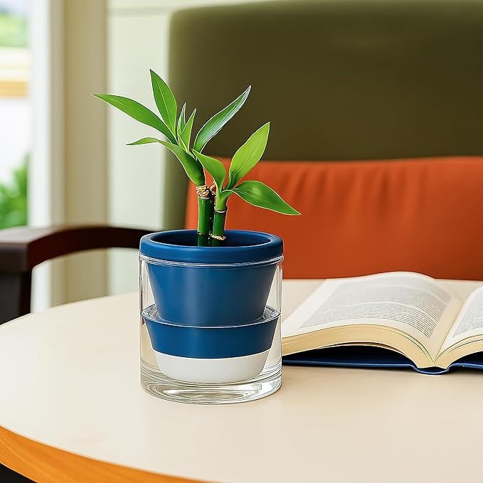 D'vine Dev 4 Inch Design Self Watering Planter for Indoor Plants, Blue Terracotta Pot with Cylinder Glass Cup, Set of 4, 37-Z-A-4-F DvineDevPlanterPotsandStand