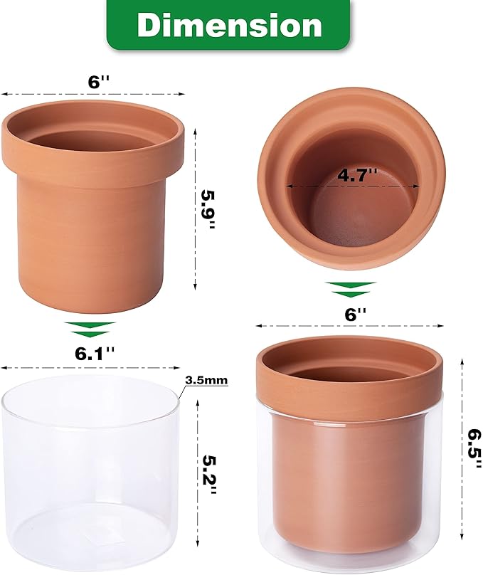 Phoenix Vine 6 Inch Self Watering Planter Pot, Terracotta Clay Pot with Glass Reservoir for Indoor Plants, Herbs, Flowers, Set of 1, 52-A-F-1 Phoenix+Vine