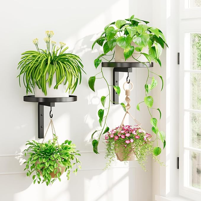 iDavosic.ly Wall Plant Holder Set of 2 for Indoor Outdoor, Metal Hanger with 2 Hooks, Floating Flower Display Stand for Window, Space Saving & Easy to Assemble (Pots/Chains/Plants Not Included), Black iDavosicly