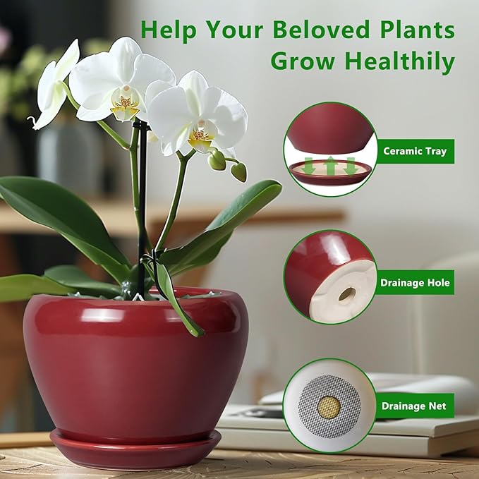 10 Inch Plant Pot - Ceramic Planter Pot with Drainage Hole and Saucer Large Planter for Indoor Plants Round Outdoor Flower Pot Mid-Century Decor Red Ceramicfor