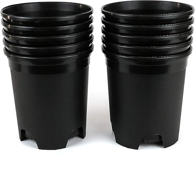 1 Gallon Nursery Pot Plastic Planters for Outdoor Indoor Plants Gardening Flower Pots 10-Pack 6 Inch Plant Pots with Drainage Holes CottaPlanters