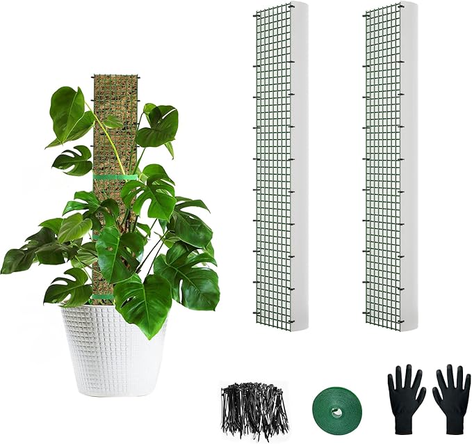 24" Metal Moss Pole, D Shape Sphagnum Moss Pole, Moss Poles for Climbing Plants, Monstera, Indoor Climbing Plants (2Pcs 24") HOLANHING