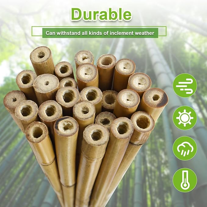 10pcs 1" D Thicker Heavy Duty Bamboo Stakes, 8FT Plant Stakes, Natural Garden Stakes for Tomato, Bean, Flowers,Trees Potted and Climbing Plant Support Jollybower