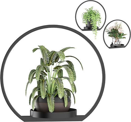 Wall Planters for Indoor Plants, Plant Frames Wall Decor Living Room Plant Stand Hanging Wall Plants Holder to Hold Large Pots Wall Plant Hanger Window Plant Shelves for Outdoor Entryway DEMEGA