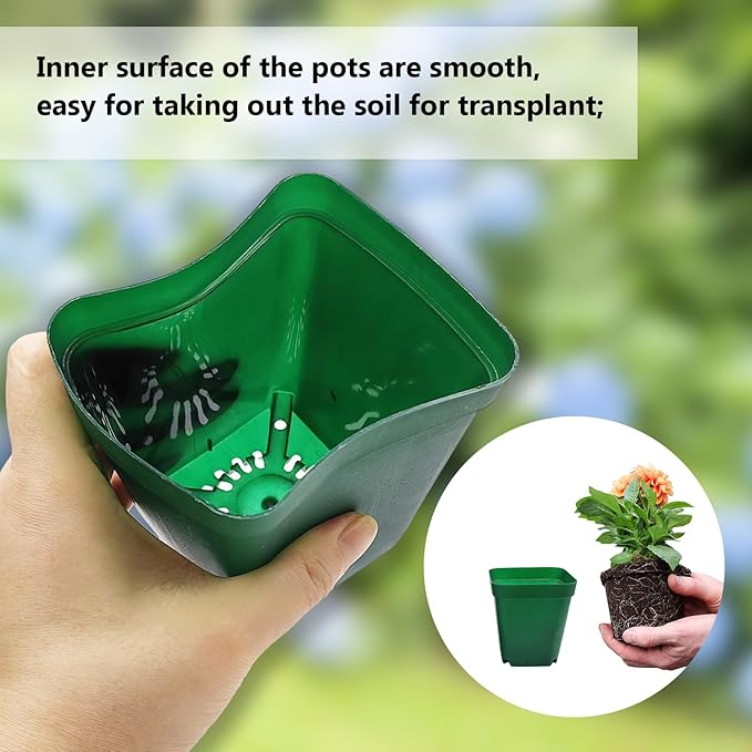 Square Nursery Succulent Pots 4 Inches 60 Pcs Deep Flower Plant Nursery Seedling Grow Pots Plastic with Drainage (Green, 4Inches, 60Pcs) RooTrimmer