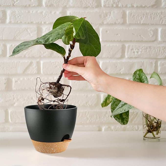 Indoor Pots For Plant Self Watering Plant Pots For Lazy People, 8/7.5/7/6.5/6/5.5/5 Inch,Black Plastic Self Watering Planter For All Houseplants,Succulent, African violets, Flowers And Cactus SESUN-E