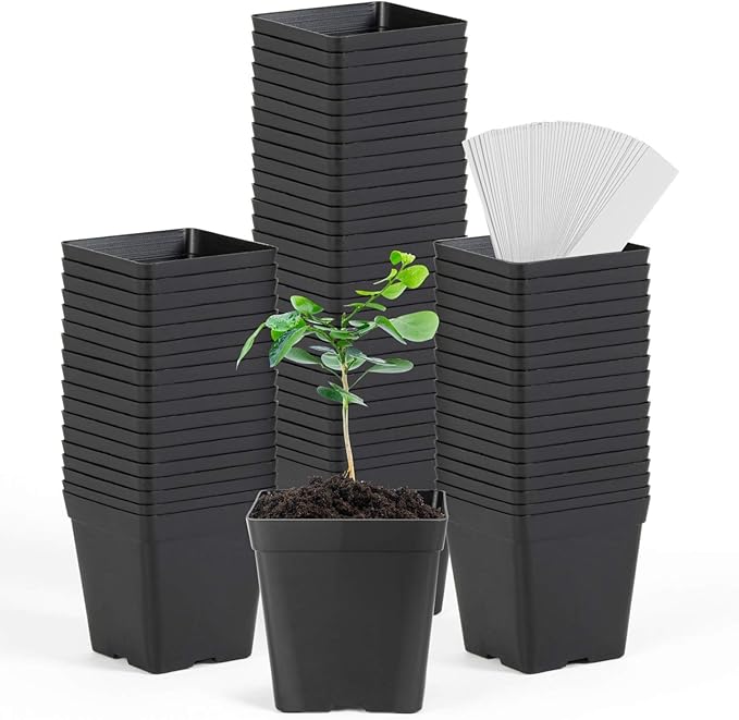 June Fox Square Nursery Pots 3.3 Inches Flexible Plastic Seedling Pots Square Pots for Plants, Succulent, Flower, Pack of 60, with 60 PCS Plant Labels June+Fox
