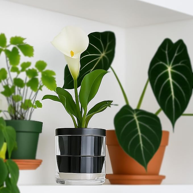 D'vine Dev 4 Inch Design Self Watering Planter for Indoor Plants, Black Terracotta Pot with Cylinder Glass Cup, Set of 3, 37-Z-A-3-T DvineDevPlanterPotsandStand