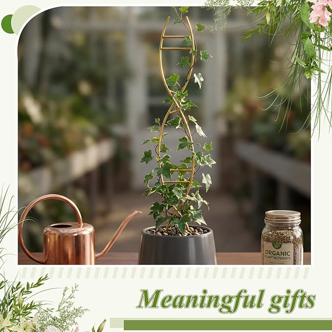 3 Pcs 15.75 Inch Indoor Plant Trellis for Potted Plants Small Climbing Plant Trellis for Pots with Unique DNA Spiral Design for Vine Plants, Easy Installation for Indoor Outdoor Use Rootora