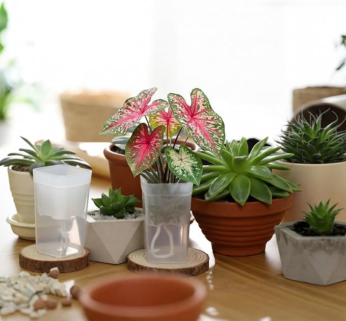 LemonRoad 20 Pack 2" Small Self Watering Pots for Indoor Plants with 20 Plant Label Mini Clear Plastic Planters with Water Level and Drainage Holes for Propagation, Succulents, and African Violet Rootora
