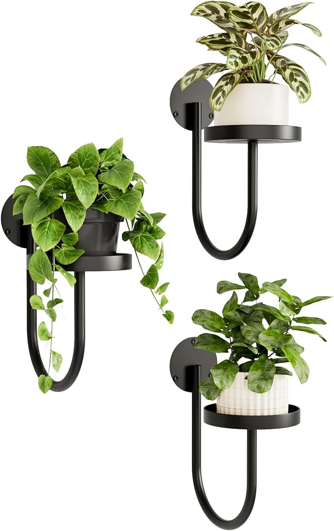 Bamworld Hanging Planters for Indoor Plants Wall Plant Holder Plant Hanger Indoor Wall Planters Window Plant Shelves Hanging Plant Holder Window Plant Hanger Plant Decor Black 3pcs Bamworld