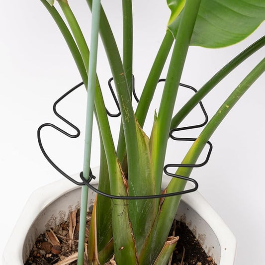 5PCS Monstera Plant Stem Support -7.3*6.25IN Adjustable Metal Stake for Climbing Plants, Durable Garden Support with Gentle Grips, Ideal for Indoor & Outdoor Use, Ideal Gift for Plant Lovers Yohsnor