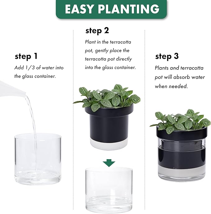 Phoenix Vine 4 Inch Self Watering Terracotta Planter, Black Terracotta Clay Pot with Glass Reservoir for Indoor Plants, Herbs, Flowers, Set of 1, 52-C-E-1 Phoenix+Vine