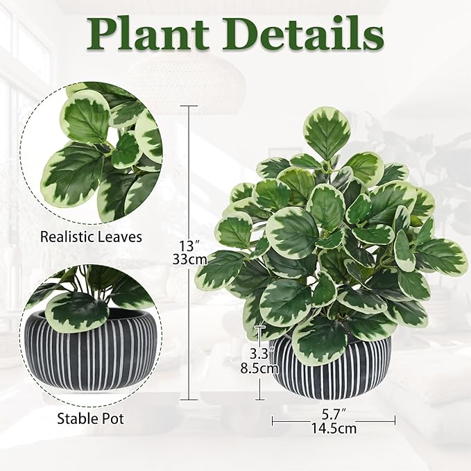 13" Artificial Plants Indoor Small Fake Plant in Ceramic Pot, Silk Plants for Home Decor Indoor, Faux Peperomia Potted Plant for Shelves, Desks, Home, Room, Office, Bedroom, Entryway, Tabletop Decor VillaComo
