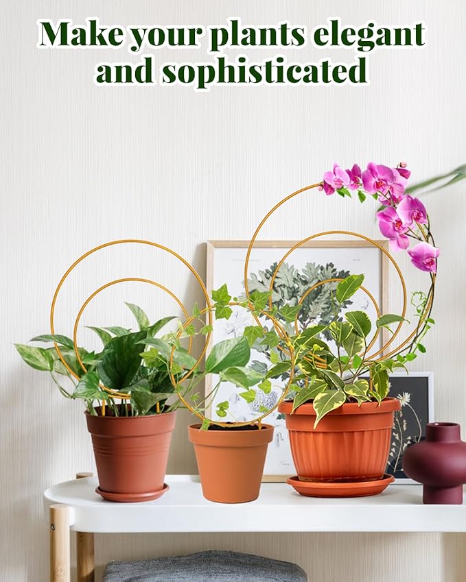 Unique Round Hoya Trellis, 3 Pcs Different Small Houseplant Trellis for Indoor Climbing Plant, Garden Trellis Plant Support for Potted Ivy and Flowers Outdoor(Gold) Rootora