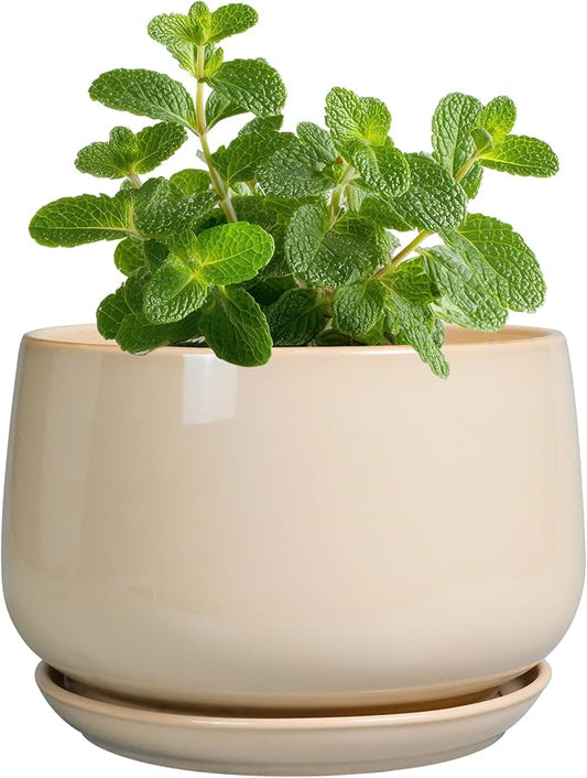 G EPGardening 4 inch Plant Pots - Ceramic Planter with Drainage Hole & Saucer, Small Plant Pots for Indoor Outdoor, Round Succulent Pot, Modern Decorative Flower Pot, Desk Decor, Garden Gifts, Beige GEPGardening