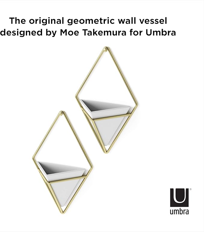 Umbra Trigg Hanging Planter Vase Wall Decor, Set of 2 Pots Containers for Succulents, Cactus, Faux Plants, and More, Small, White/Brass Umbra
