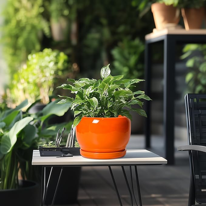 SQOWL Ceramic Pot for Plants - 8 Inch Plant Pot Indoor Outdoor, Modern Round Planter with Drainage Hole and Saucer, Decorative Planter for Flower, Office Decor, Garden Gifts for Women, Orange SQOWL