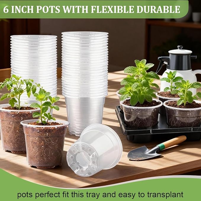 30 Pack 6 Inch Clear Nursery Pots and 5 Pack 6 Cell Round Plant Pot Trays, Sturdy Seeds Starting Germination Shuttle Carrying Trays, Planter Nursery Propagation 5 Sets RooTrimmer