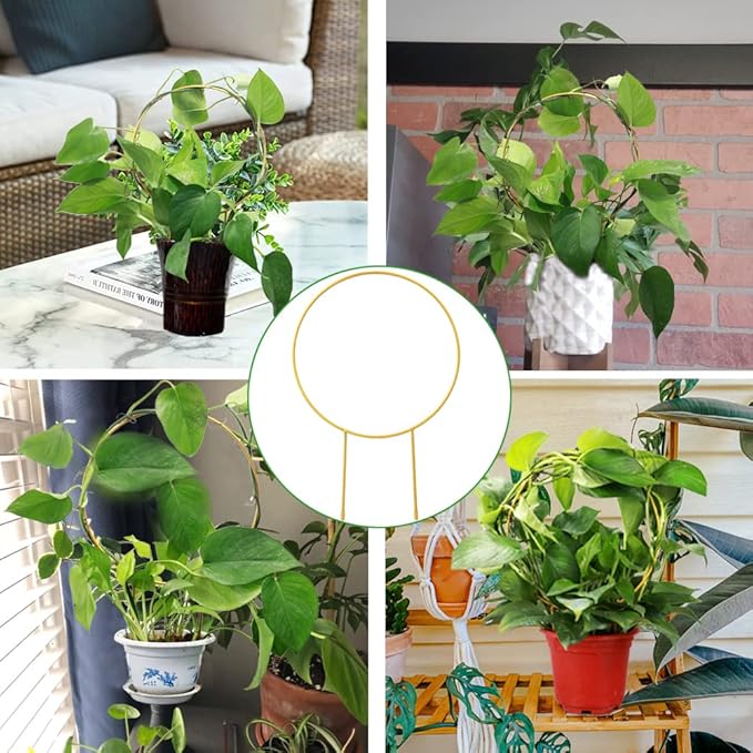 2 Pack Circle Trellis for Climbing Plants Indoor, 15" Gold Small Plant Support Stakes, Flower Houseplant Hoya Support for Potted Plants & Garden Stem Vines Kiouposy