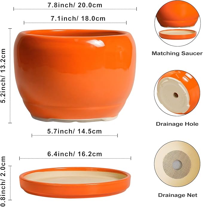 SQOWL Ceramic Pot for Plants - 8 Inch Plant Pot Indoor Outdoor, Modern Round Planter with Drainage Hole and Saucer, Decorative Planter for Flower, Office Decor, Garden Gifts for Women, Orange SQOWL
