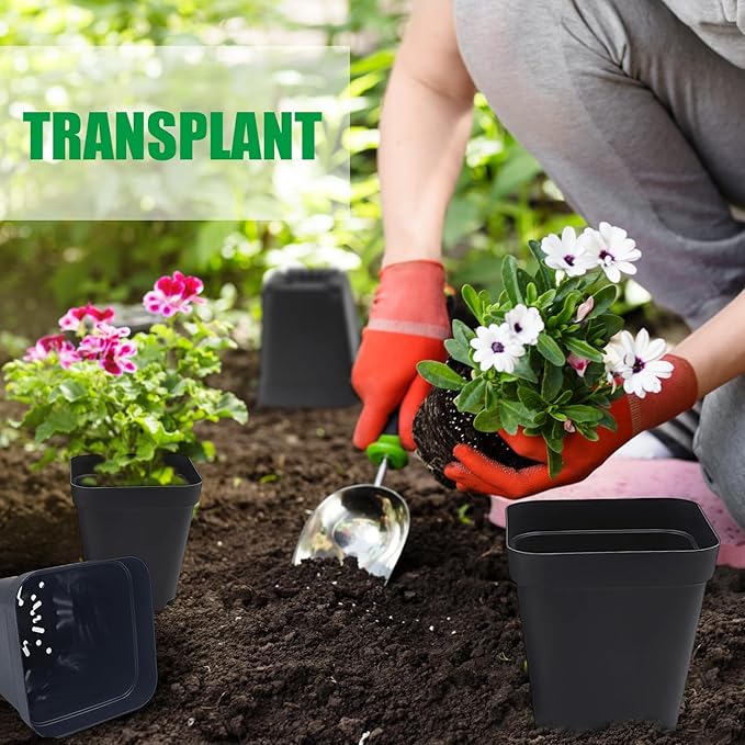 Square Nursery Pots 3" 120Pcs Deep Succulent Plastic Pots Small Flower Planter Seeds Starter Germination Pots with Drainage (Black,2.7Inches,120Pcs) RooTrimmer