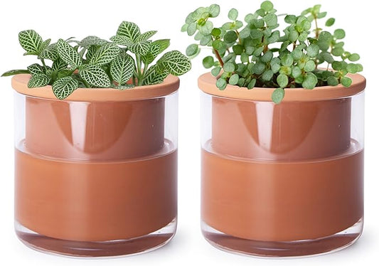 Phoenix Vine 4 Inch Self Watering Plants Pot, Design Terracotta Pot for Plants, Indoor Cylinder Terra Cotta Planter with Glass Vase, Set of 2, 51-A-E-2 Phoenix+Vine