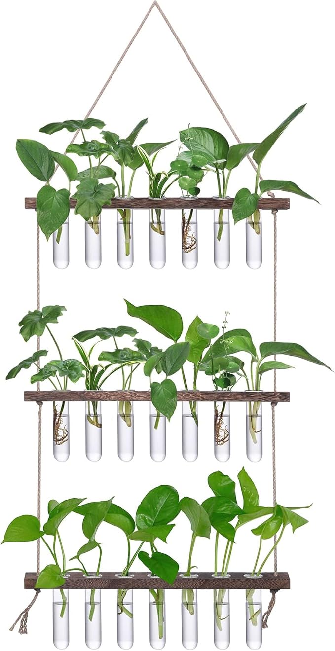 XXXFLOWER Wall Hanging Propagation Station with Wooden Stand 21 Glass Test Tubes 3 Tiers Planters Wall Terrarium for Home Office Plant Hanger Flower Vases Wall Decor Hydroponic Cuttings XXXFLOWER