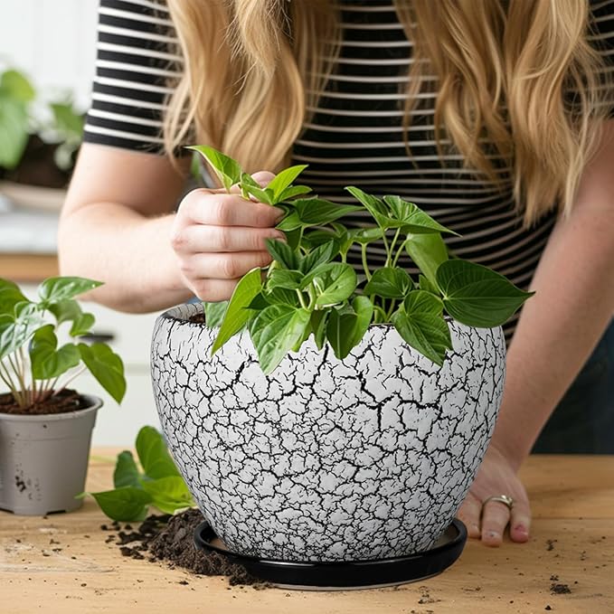 Ceramic Plant Pot 8 Inch - Ceramic Planter for Indoor Plants, Round Flower Pot with Drainage Hole and Saucer, Glaze White and Black Ceramicfor