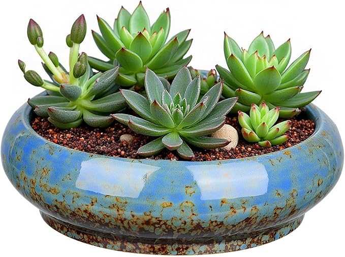 7.3 Inch Succulent Planters Pots Shallow Ceramic Glazed Planter Pots, Lotus Bowl Planter Round Shallow Planter Water Lily Pot for Indoor/Outdoor Plants Decorative (Blue) Rootora