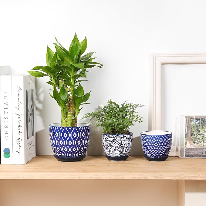 Selamica Ceramic Succulent Pots, 3.5 Inch Small Plant Pots for Indoor Plants Cactus Herbs, Succulent Planters with Drainage Holes & Saucers, Home Decor, Set of 6, Vintage Blue Selamica
