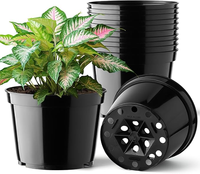 BTPLASTIK 15 Pack 6 Inch Plastic Plant Pots with Drainage Holes, Sturdy Nursery Pots for Plants, Thickened Flower Pots for Indoor Outdoor Planting Transplanting, Succulents, Seedlings, Black BTPLASTIK