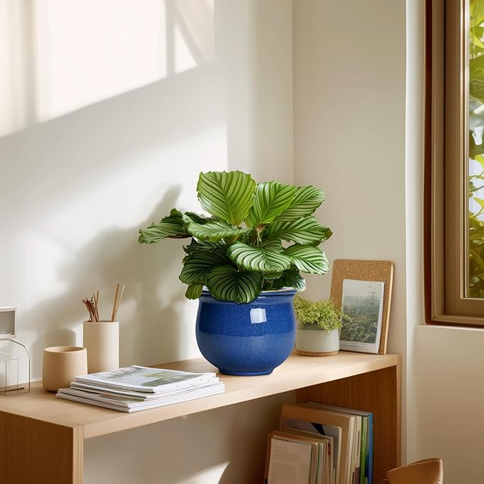 6 Inch Self Watering Pots, Ceramic African Violet Planter with Absorbent Inner Pot, Round Flower Pot for Indoor Plants, Ceramic Pots for Plants, Room Home Decor, Plant Lover Gifts, Blue Teagas