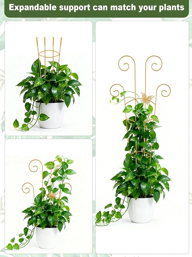 4Pcs Indoor Plant Trellis for Potted Plants, 30" Taller Expandable Garden Metal Trellis for Climbing Plants Outdoor, Houseplant Support Stakes for Ivy Pothos Hoya Flower (Gold) Whtawtaw