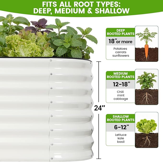 Galvanized Raised Garden Bed Outdoor 24'' Deep | Oval Metal Garden Beds with Easy Assembly & Planter Box for Planting Deep Root Vegetables Fruits Flowers, 6x2x2ft White Rootora