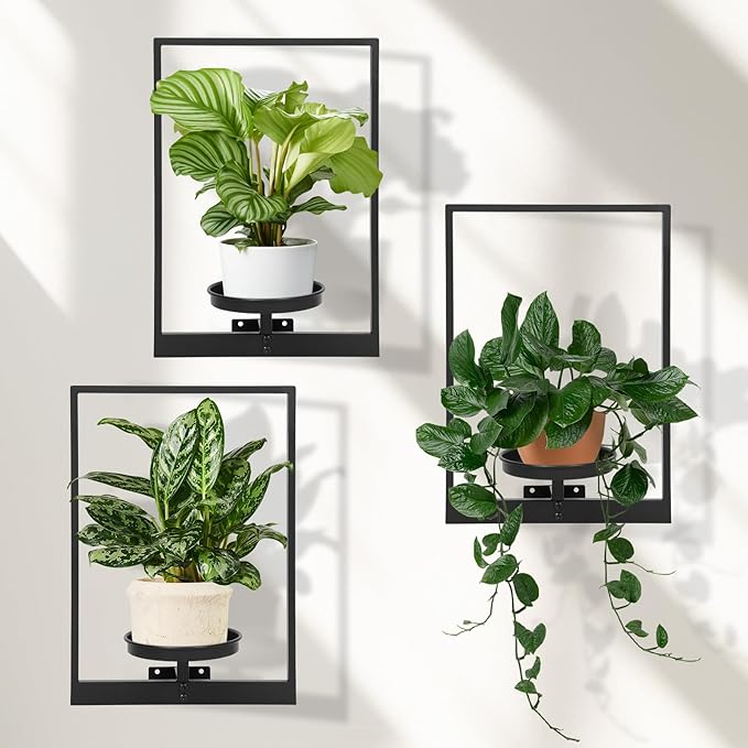 Wall Planters for Indoor Plants, Window Plant Shelves Set of 3, Wall Plant Stand to Hold Large Pots - Premium Metal Hanging Plant Holder for Indoor Outdoor Decor STORENIZATION