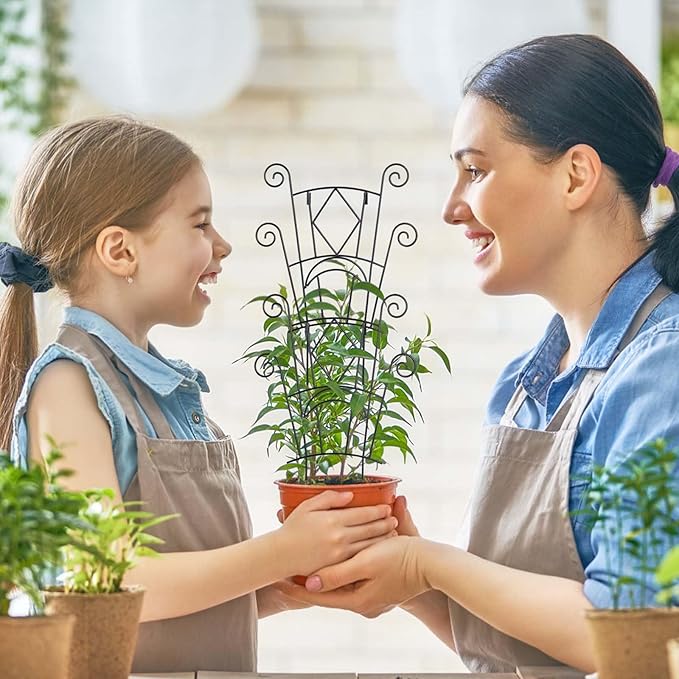 Stackable Plant Support Stakes, 2 Pack Metal Twig Plants Trellis for Indoor and Outdoor Use, Garden Accessories for House Potted Flower Monstera Trumpets 15.35 inch YHTPOUQE