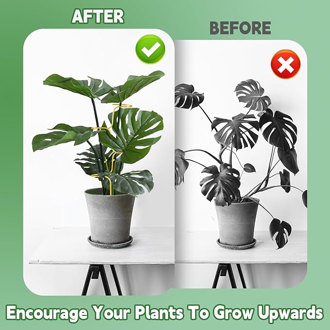 succulentlovers 4PCS Indoor Plant Support Stakes, 12.6 Inch Metal Monstera Plant Supports, Indoor Plant Trellis Plant Stem Holder Support for Indoors & Outdoor Garden Plants Stabilization and Supports succulentlovers