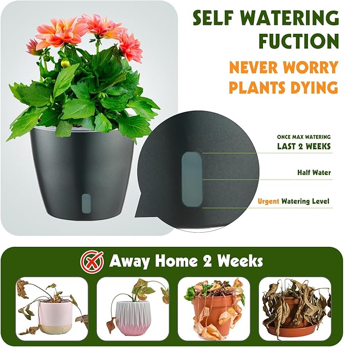 Self Watering Pots for Indoor Plants, 6-Pack 5'' Self Watering Planter with Drainage Holes, Small African Violet Pots with Water Indicator, Clear Wick Orchid Pot, Grey KvyusFlourish
