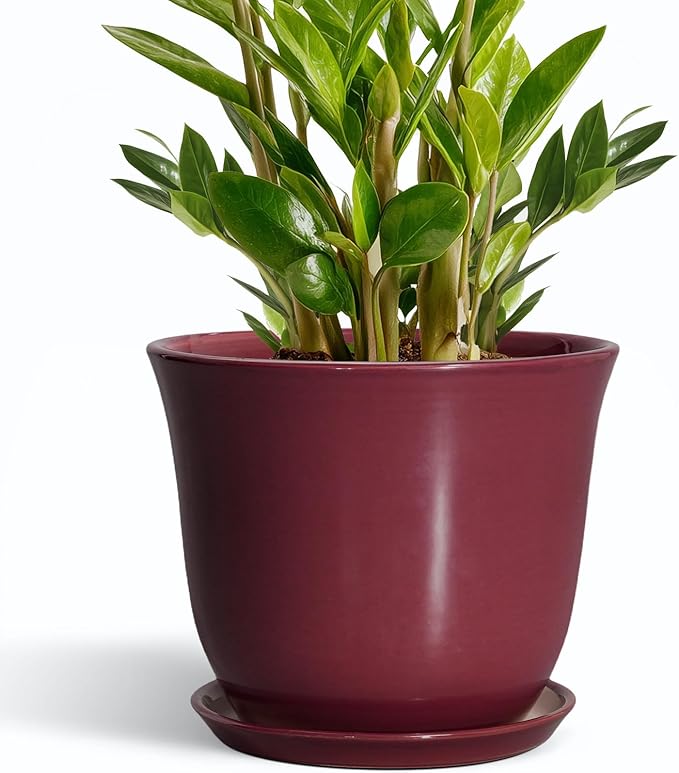 Ceramic Plant Pots - 10 Inch Plant Pot with Drainage Hole and Saucer, Round Planter for Indoor Outdoor, Modern Decorative Large Flower Pots, Home Room Garden Decor, Plants Lovers Gifts, Red SUNPOTFOR