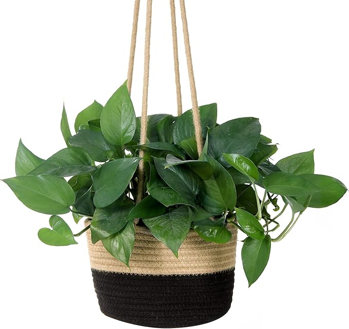 Hanging Planter Basket Jute Rope Woven Plant Hangers Indoor Hanging Plant Holder Up to 7" Pot Macrame Modern Storage Organizer Home Decor (Jute-Black) RUIZHIXUAN
