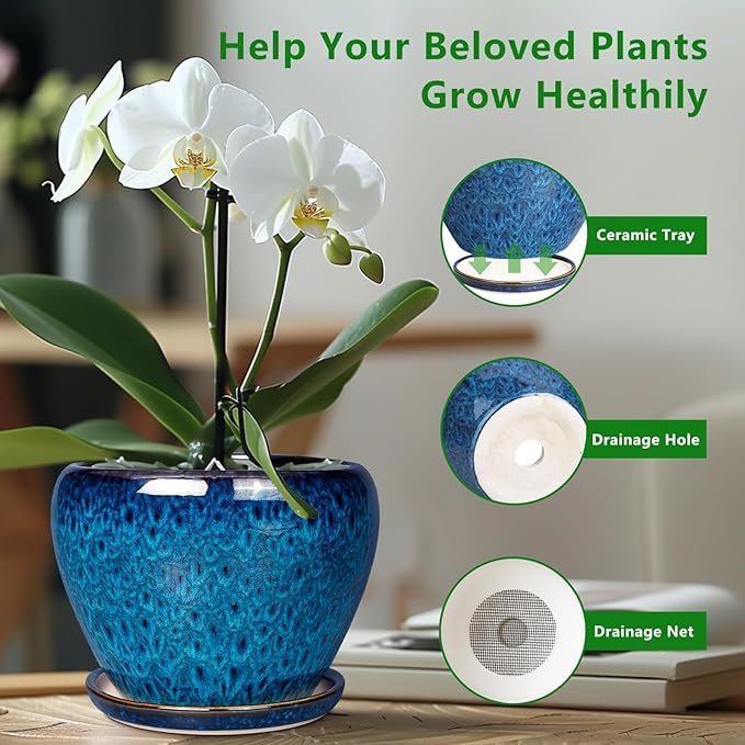 Ceramic Modern Glaze Succulent Planter Pot with Drainage Hole and Saucer 6 Inch Round Flower Plant Pot for Indoor Outdoor Herb Snake Plants Ceramicfor