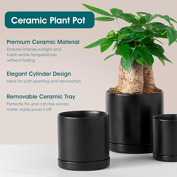 vancasso Ceramic Plant Pots, 3 Piece Planters for Indoor Plants, 4.25+5.25+6.25 Inch Flower Pots with Drainage, Plant Pots Indoor for Succulent, Pothos, Snake Plant and Money Tree, Etc (Black) vancasso