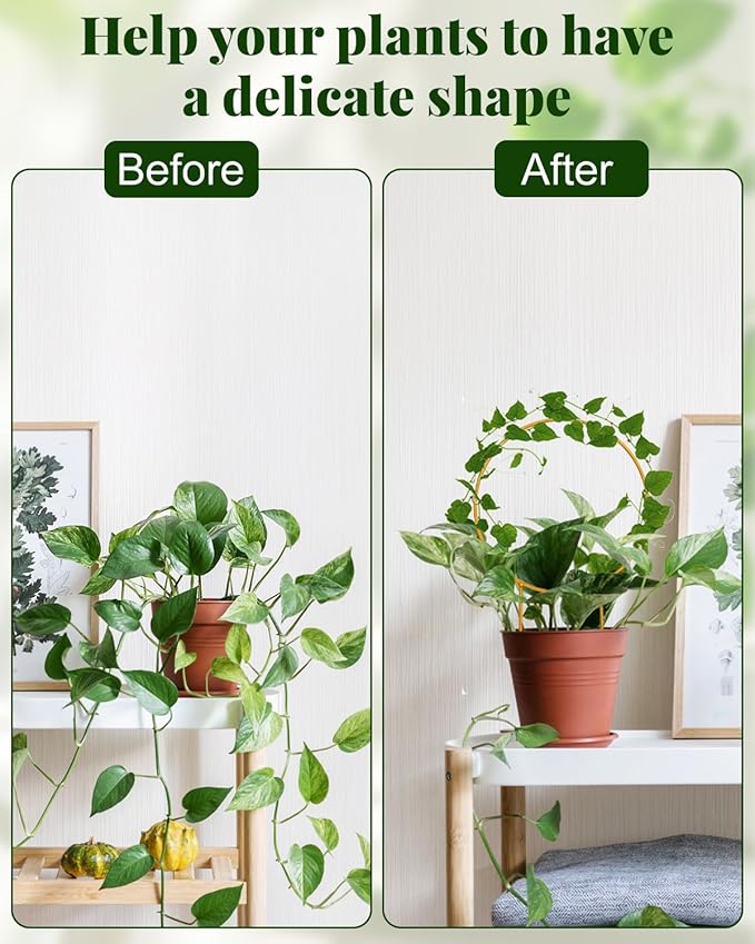 Unique Round Hoya Trellis, 3 Pcs Different Small Houseplant Trellis for Indoor Climbing Plant, Garden Trellis Plant Support for Potted Ivy and Flowers Outdoor(Gold) Rootora