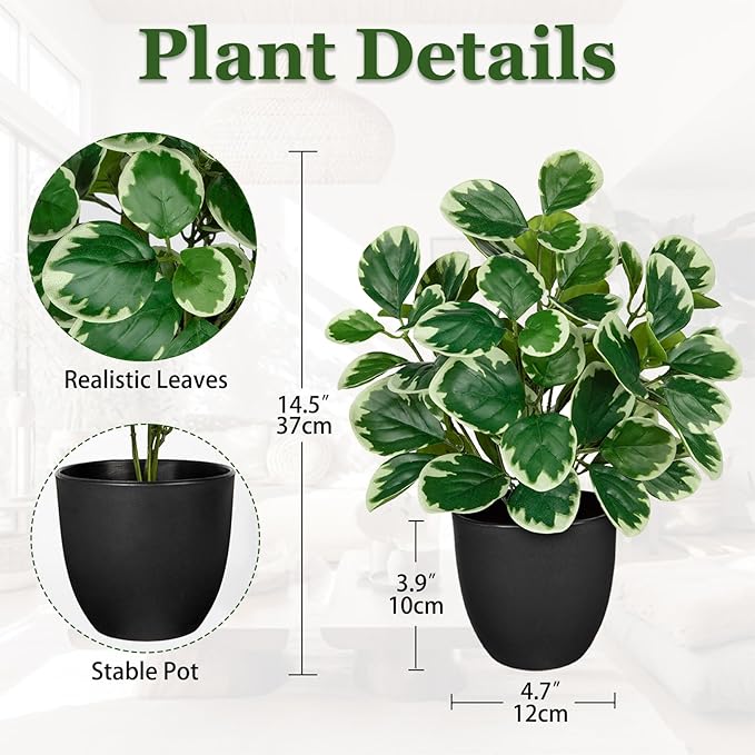 14.5" Artificial Plants Indoor Home Decor, Fake Potted Silk Plants for Shelves Living Room Decorative, Small Artificial Office Desk Plant in Pots, Faux Peperomia Hope Tropical House Plant VillaComo
