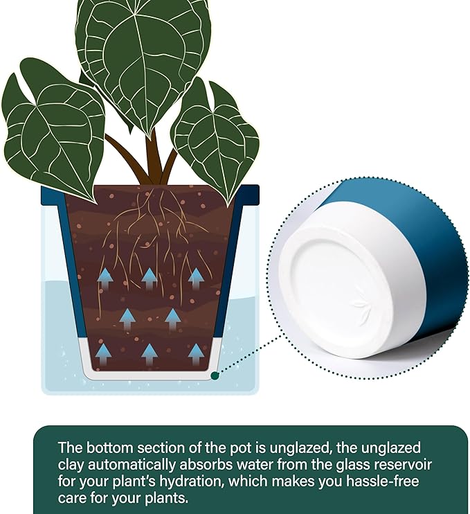 D'vine Dev 6 Inch Design Self Watering Planter for Indoor Plants, Blue Terracotta Pot with Cylinder Glass Cup, 37-X-B-4 DvineDevPlanterPotsandStand