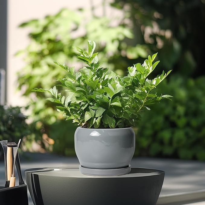 SQOWL 6 Inch Plant Pots - Ceramic Planter with Drainage Hole and Saucer, Round Ceramic Flower Pot Indoor Outdoor, Modern Succulent Planter, Bathroom Decor, Gifts for Plant Lovers, Grey SQOWL