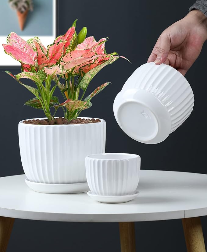 Ton Sin White Plant Pots Set of 3,Indoor Ceramic Flower Pot with Saucers,6.7"&5.5"&3.9" Inch Small to Medium Sized Planters for Plants,Round Modern Garden Pots TonSin