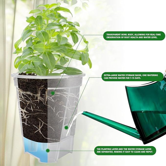 Cdd's Path Large Naked Root Planter Self Watering Pots Set with Holes for Indoor/Outdoor Plants, Planter Pot with Watering Hole/Reservior and Air Pipes (Clear, 8 inch-5 Pack) Rootora